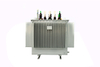 Oil Immersed Distribution Transformer With Stainless Steel Enclosure & Fan Cooling System