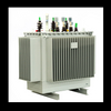 Oil Immersed Distribution Transformer With Stainless Steel Enclosure & Fan Cooling System